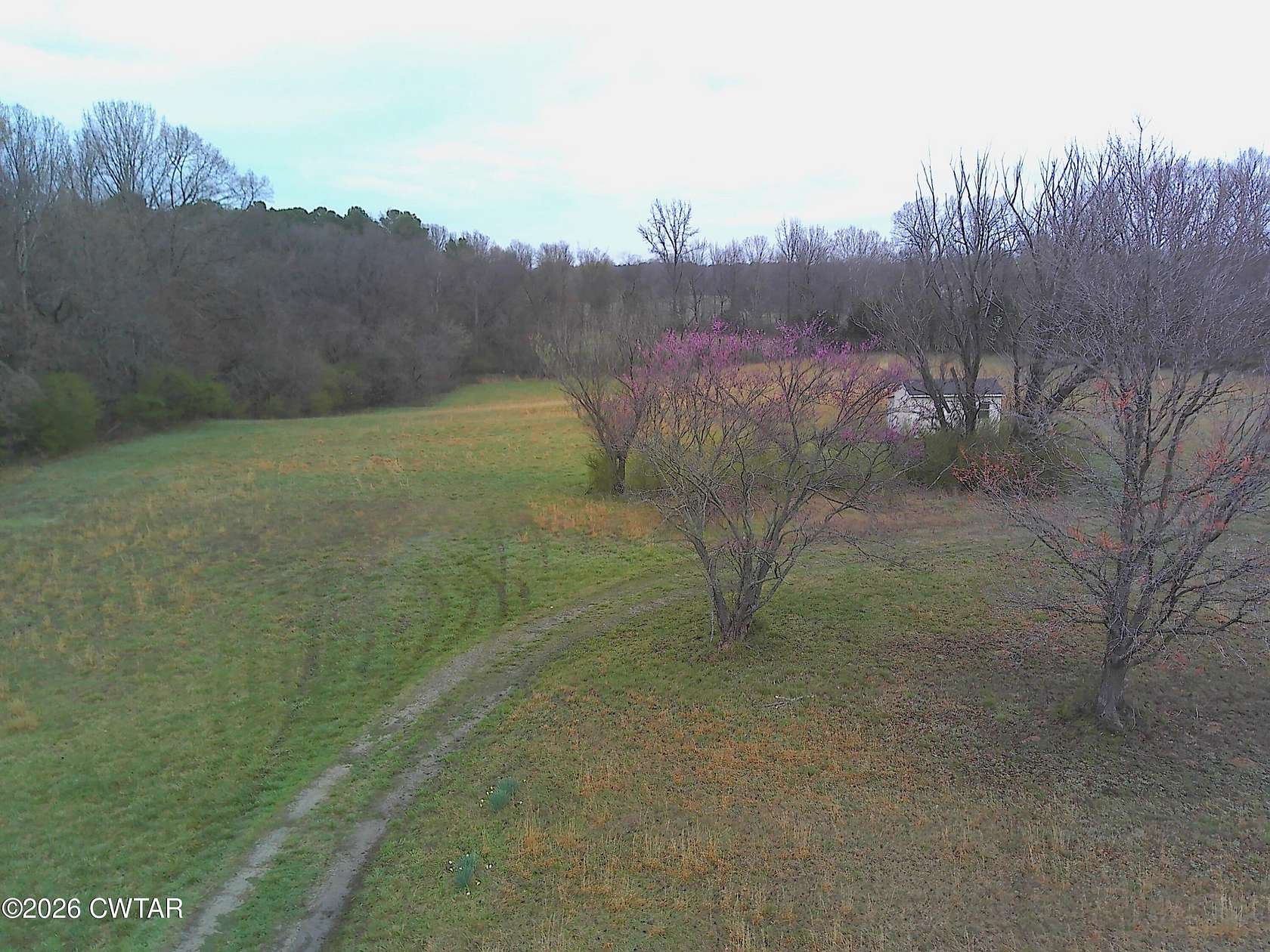 7 Acres of Land for Sale in Milan, Tennessee