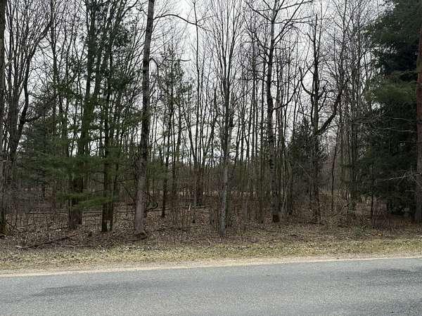 5 Acres of Land for Sale in Kent City, Michigan