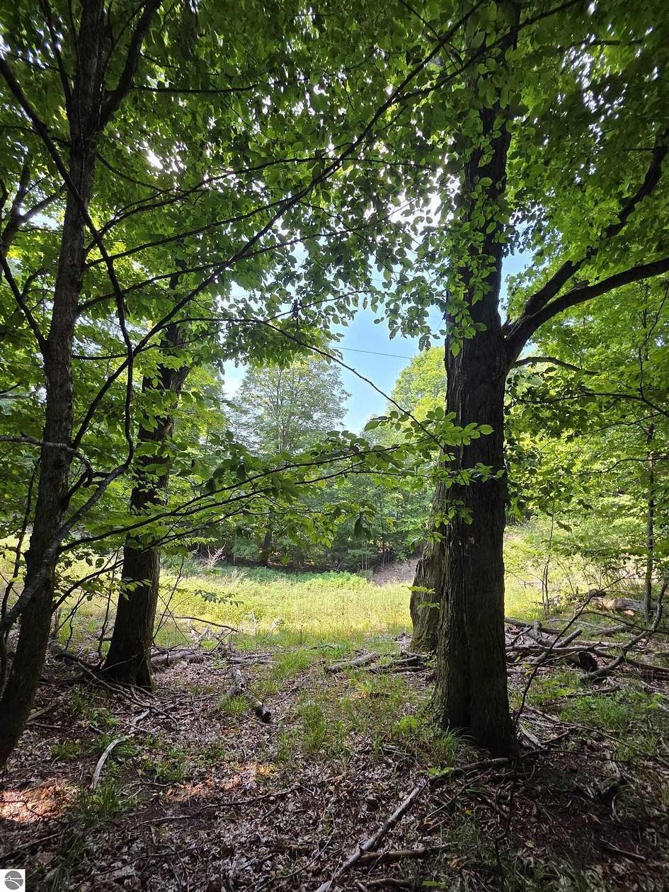 2 Acres of Residential Land for Sale in Bellaire, Michigan