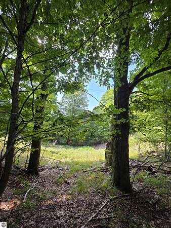 2 Acres of Residential Land for Sale in Bellaire, Michigan
