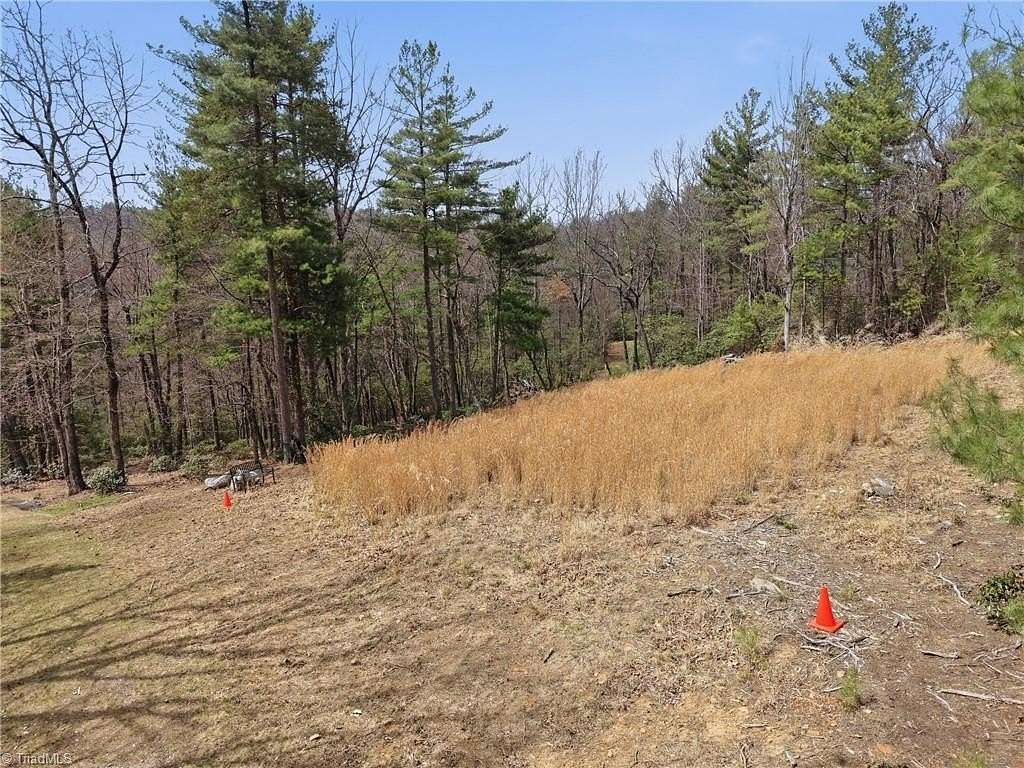 10.7 Acres of Land for Sale in Purlear, North Carolina