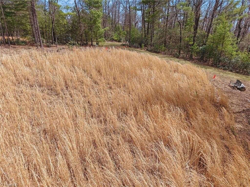10.7 Acres of Recreational & Residential Land for Sale in Purlear, North Carolina