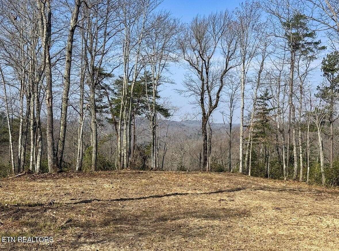 6.32 Acres of Residential Land for Sale in Winfield, Tennessee