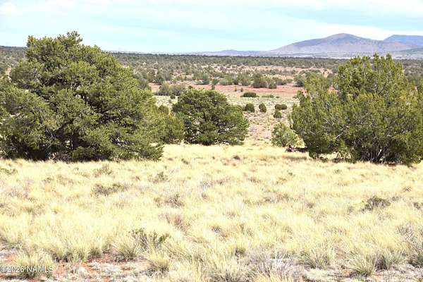 1 Acre of Land for Sale in Williams, Arizona