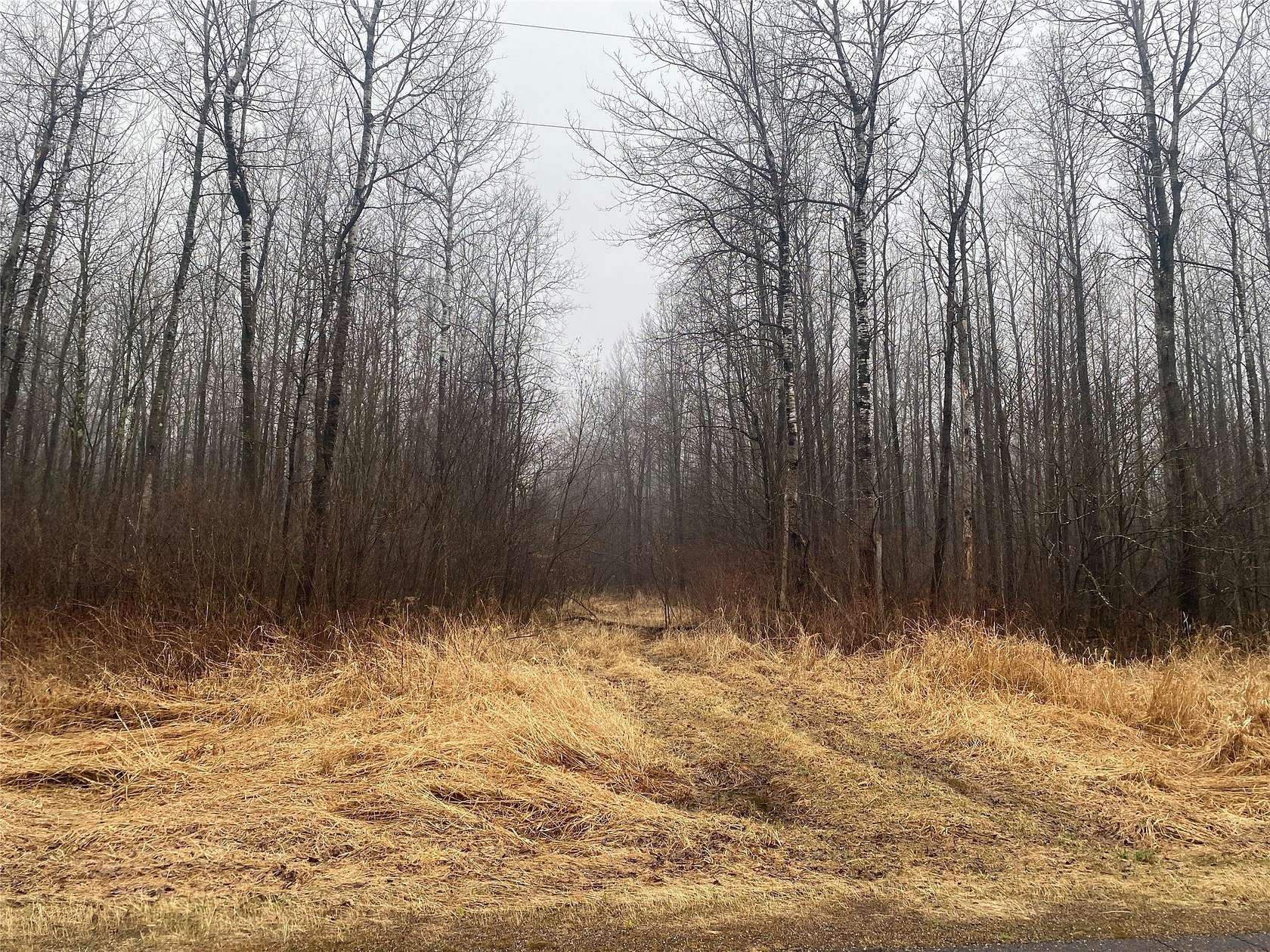 116 Acres of Land for Sale in Ogema, Wisconsin