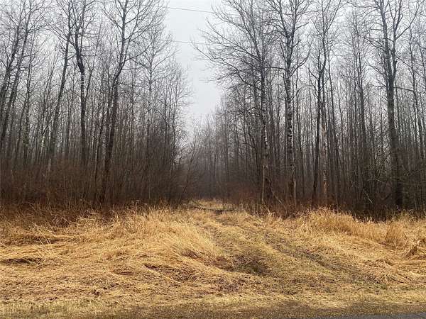 116 Acres of Land for Sale in Ogema, Wisconsin