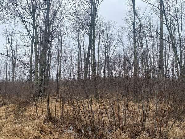 20 Acres of Land for Sale in Ogema, Wisconsin