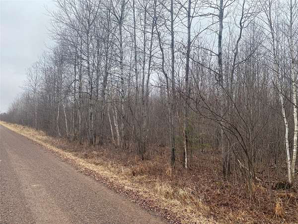 20 Acres of Land for Sale in Ogema, Wisconsin