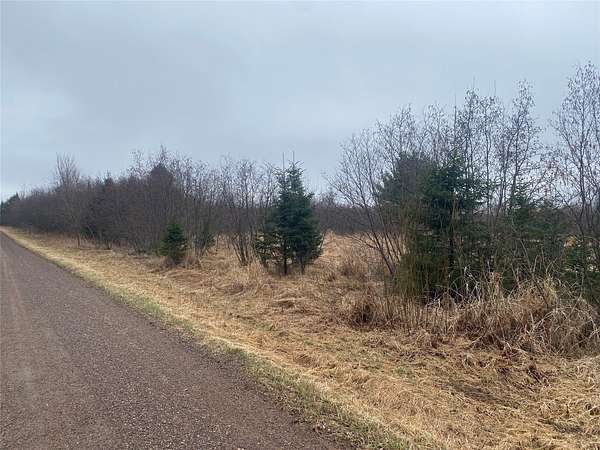 80 Acres of Land for Sale in Ogema, Wisconsin