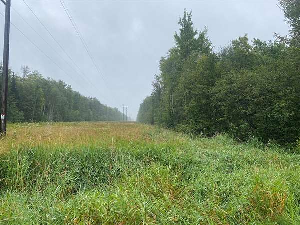 41.5 Acres of Recreational Land for Sale in Prentice, Wisconsin