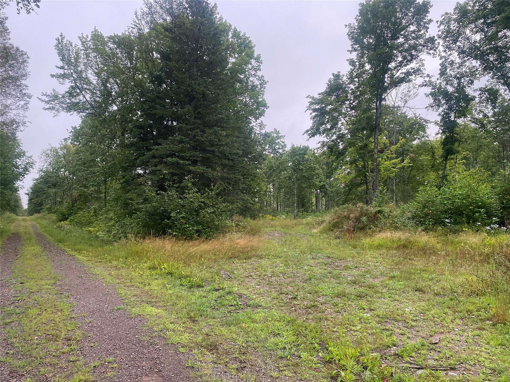 182 Acres of Recreational Land for Sale in Loretta, Wisconsin