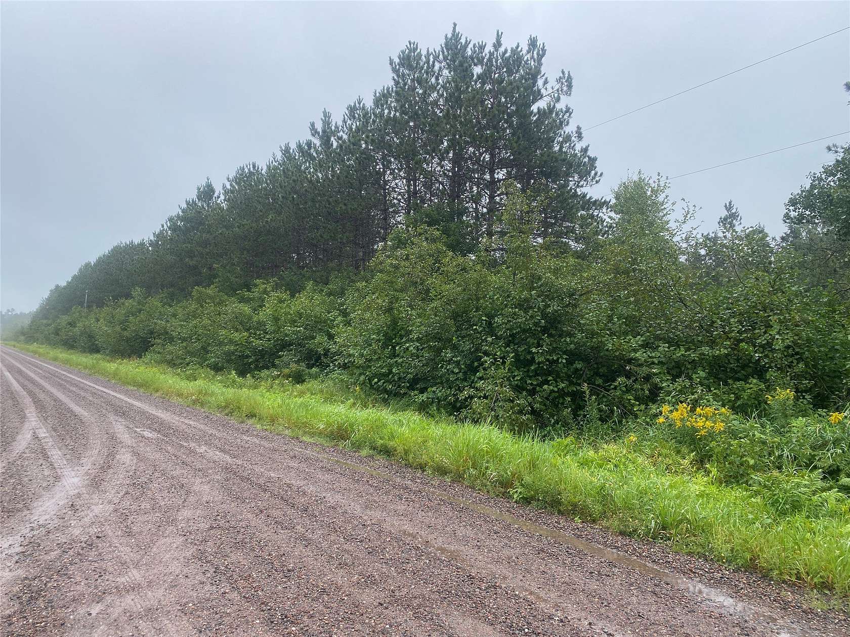 40 Acres of Land for Sale in Bruce, Wisconsin