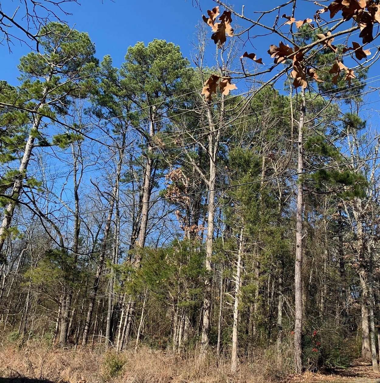 0.35 Acres of Mixed-Use Land for Sale in Heber Springs, Arkansas