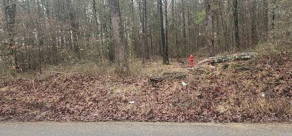 3.6 Acres of Residential Land for Sale in Rison, Arkansas