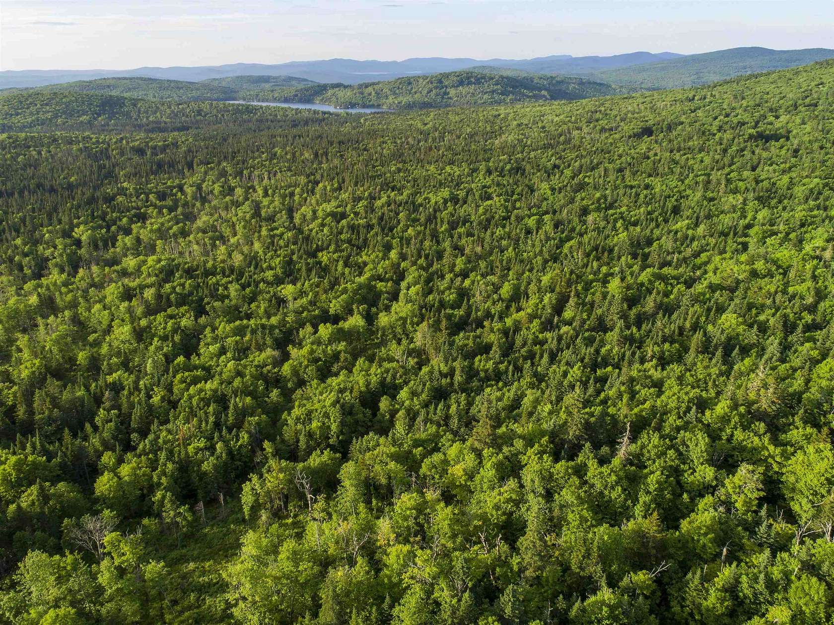 18 Acres of Recreational & Residential Land for Sale in Stewartstown, New Hampshire
