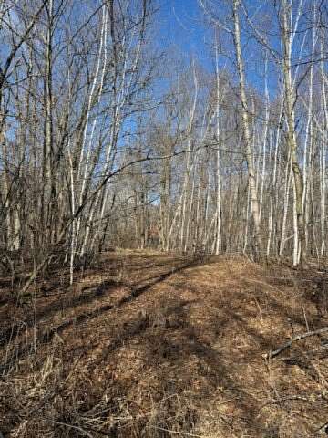 2.29 Acres of Residential Land for Sale in Cushing, Minnesota