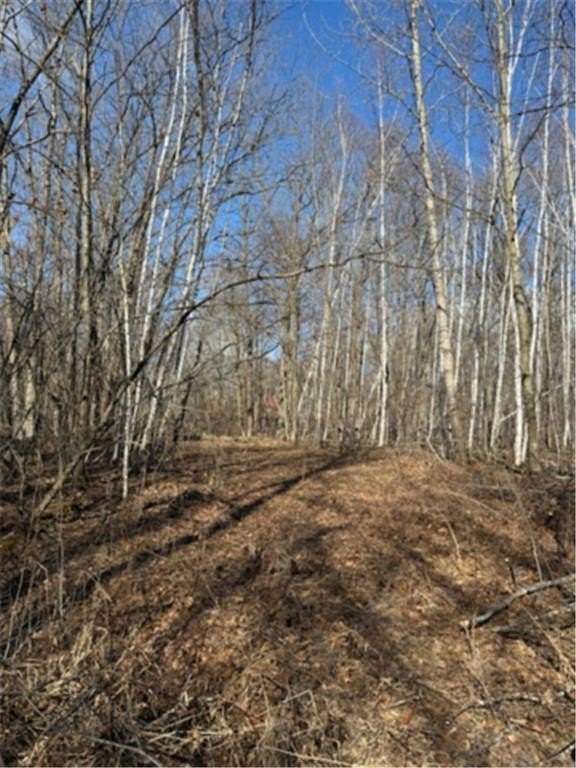 2.29 Acres of Residential Land for Sale in Cushing Township, Minnesota