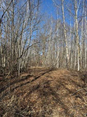 2.29 Acres of Residential Land for Sale in Cushing, Minnesota