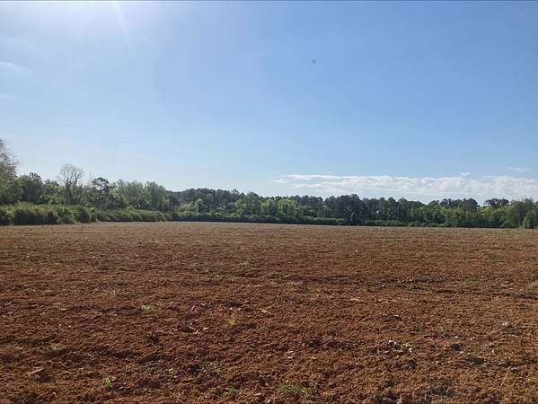 123 Acres of Recreational & Residential Land for Sale in Tifton, Georgia