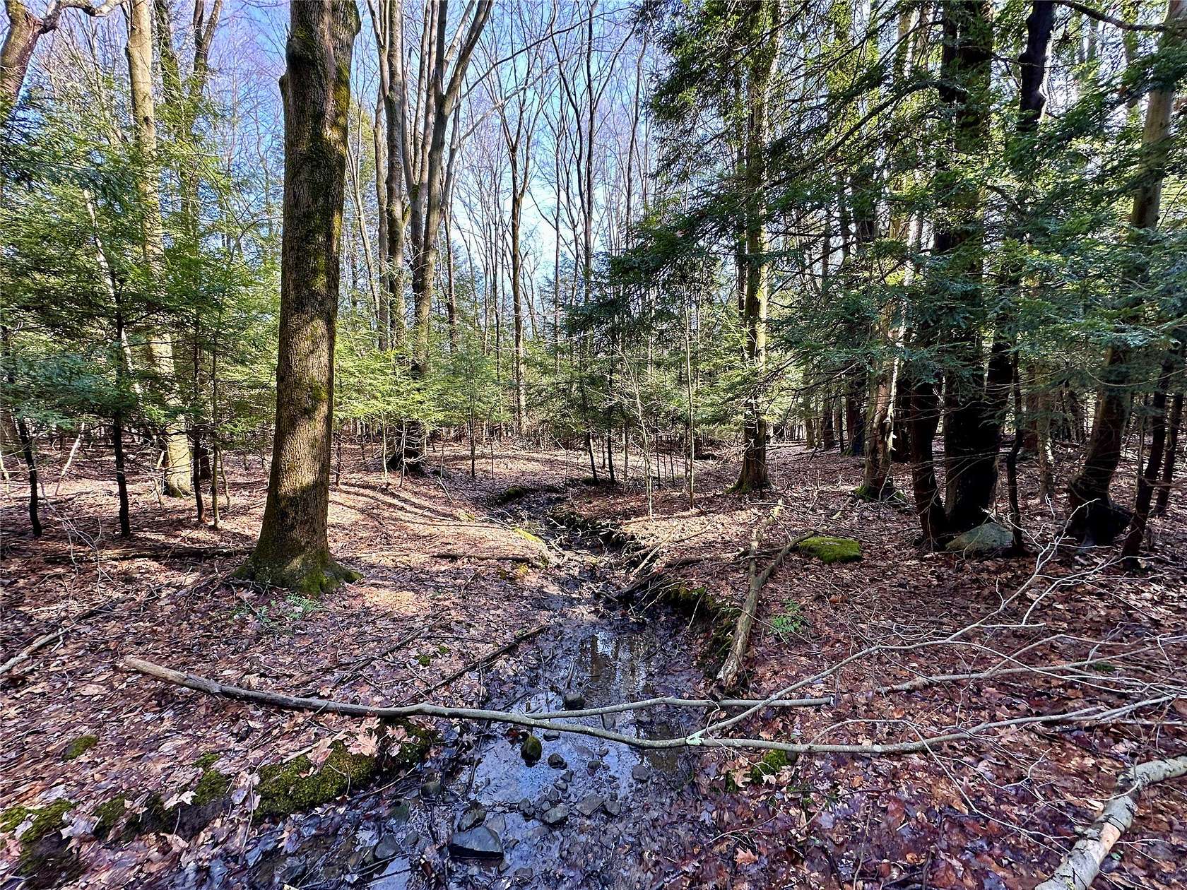 49.5 Acres of Recreational & Residential Land for Sale in Edinboro, Pennsylvania