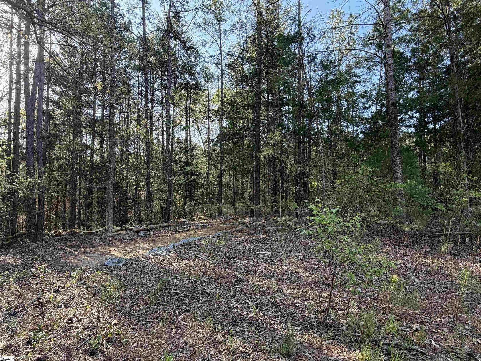 2 Acres of Residential Land for Sale in Gray Court, South Carolina