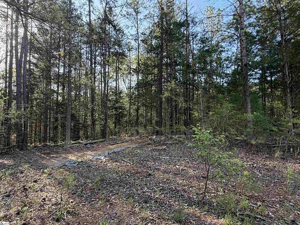 2 Acres of Residential Land for Sale in Gray Court, South Carolina