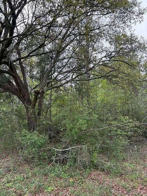 2 Acres of Mixed-Use Land for Sale in Picayune, Mississippi