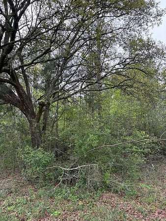 2 Acres of Mixed-Use Land for Sale in Picayune, Mississippi