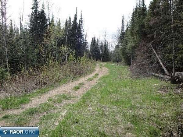 106 Acres of Recreational & Residential Land for Sale in Embarrass, Minnesota
