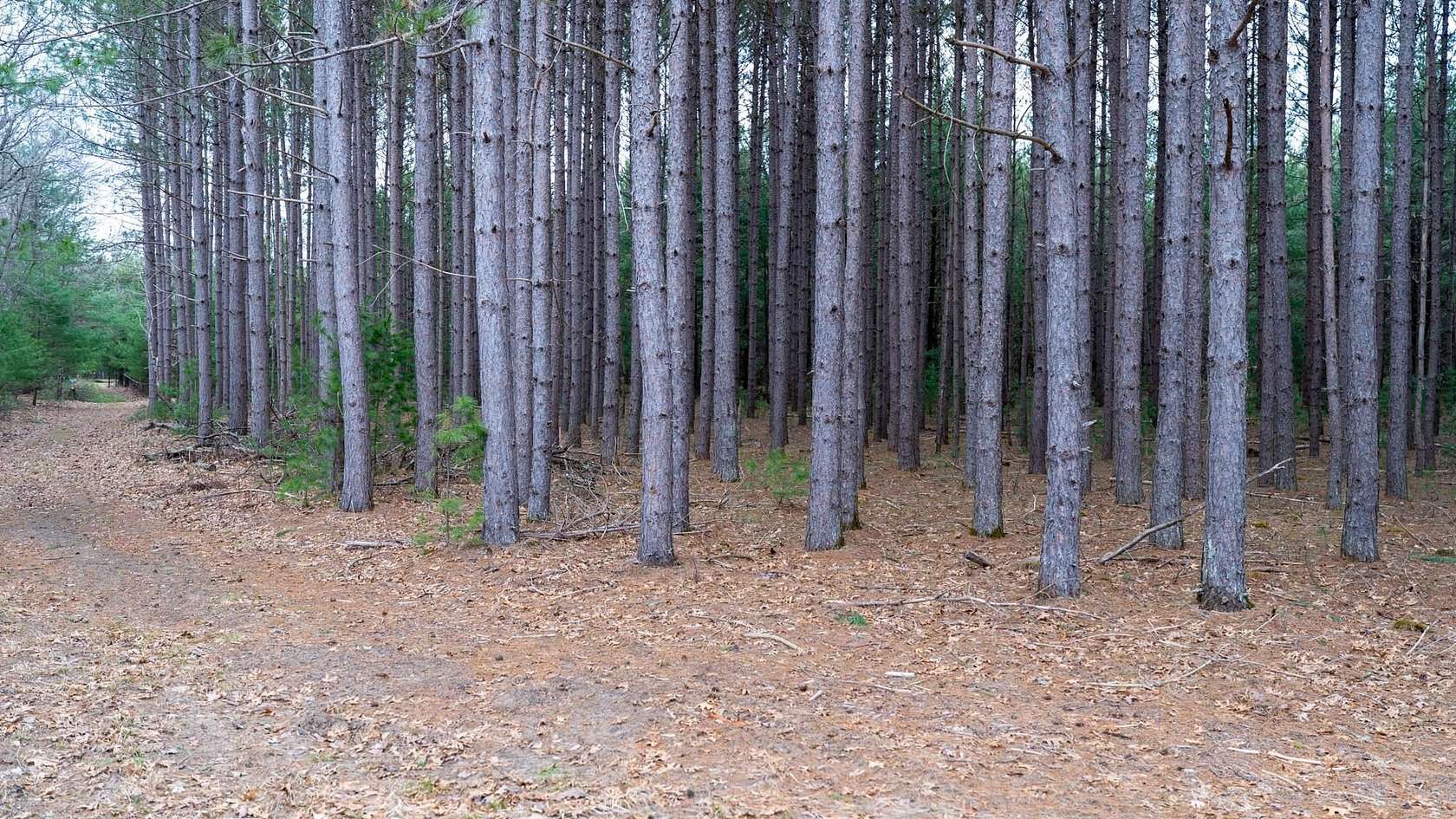 255 Acres of Recreational Land for Sale in Adams, Wisconsin