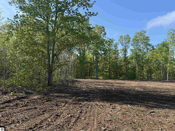 5.4 Acres of Land for Sale in Maple City, Michigan
