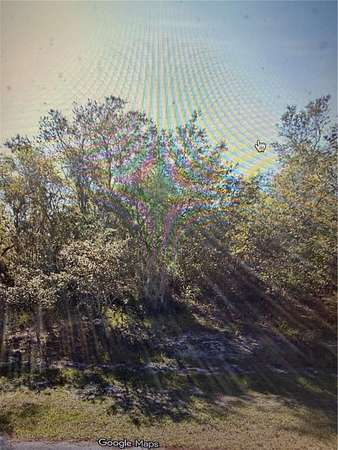 0.19 Acres of Land for Sale in Kissimmee, Florida