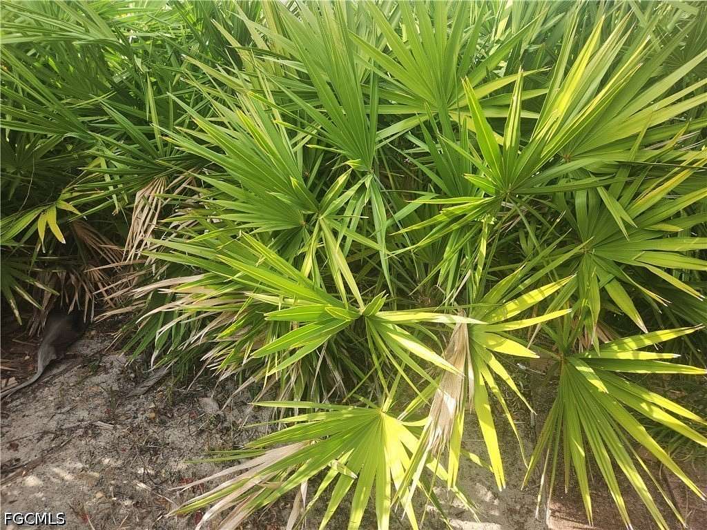 0.23 Acres of Residential Land for Sale in Lehigh Acres, Florida