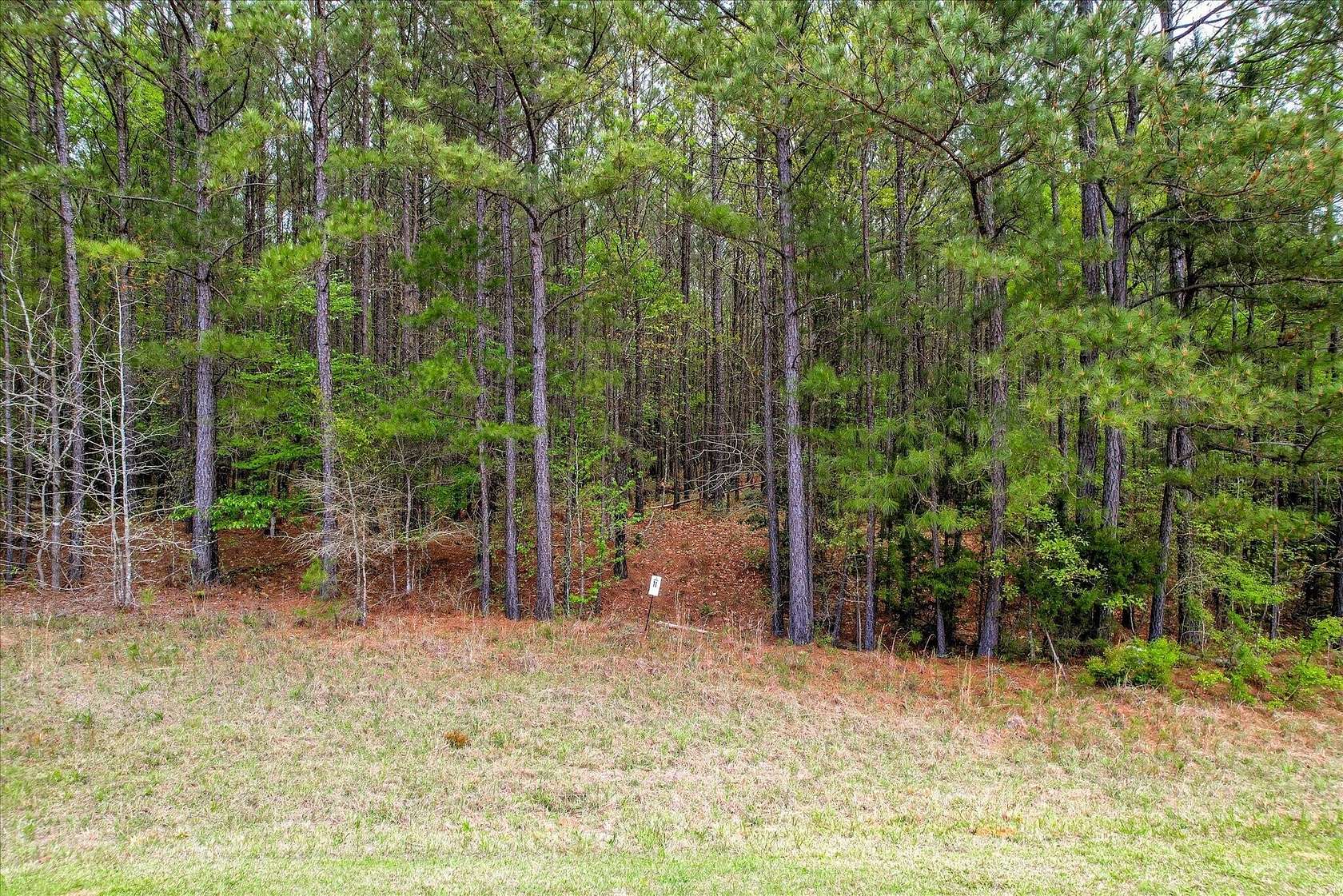1.4 Acres of Land for Sale in Lincolnton, Georgia