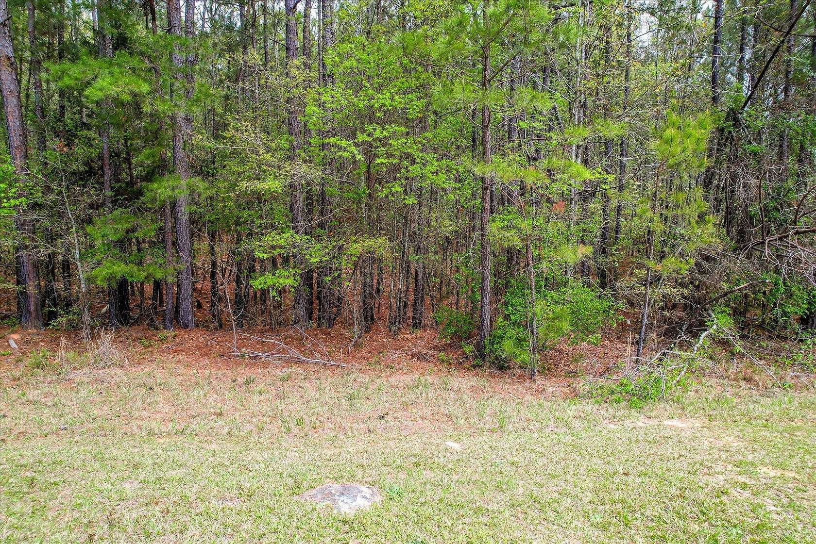 1.26 Acres of Residential Land for Sale in Lincolnton, Georgia