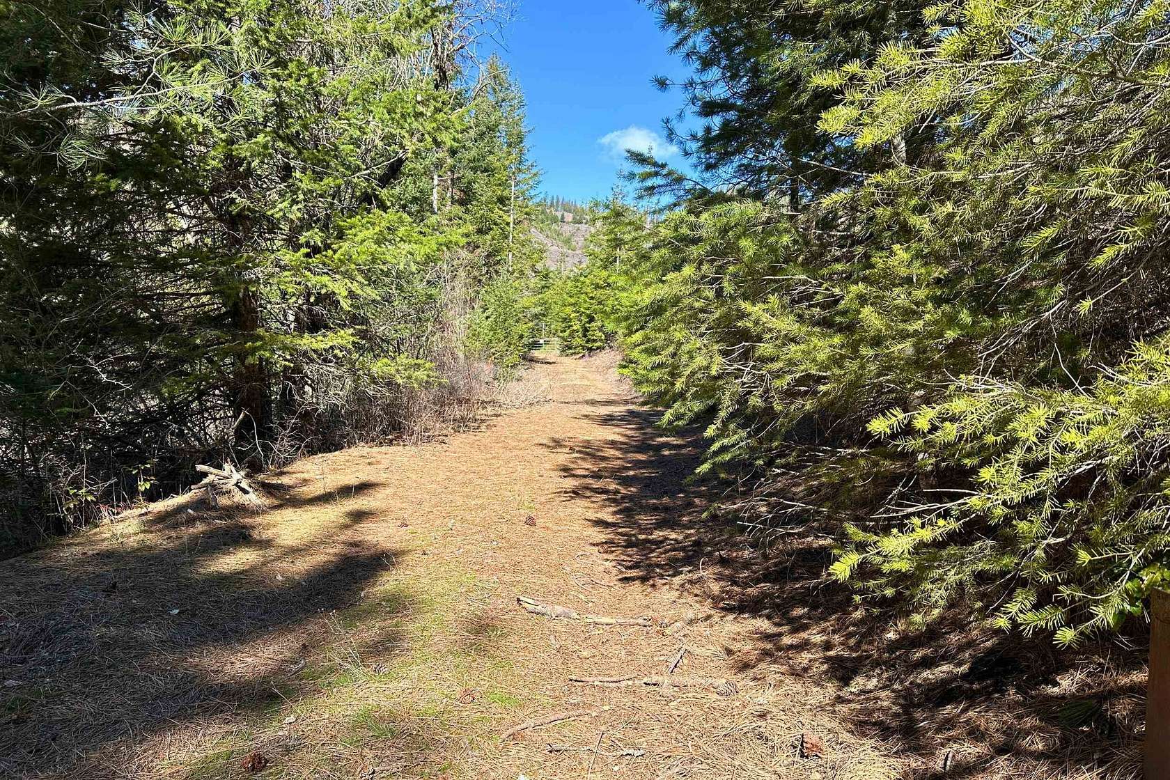 2.45 Acres of Land with Home for Sale in Loon Lake, Washington