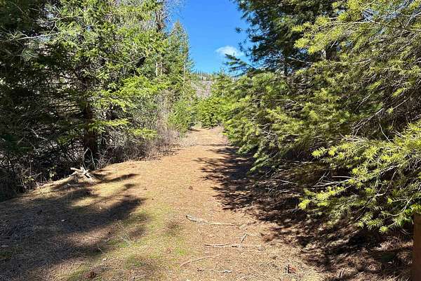 2.45 Acres of Land with Home for Sale in Loon Lake, Washington