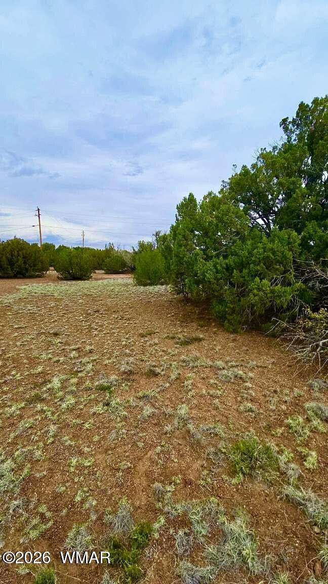 0.25 Acres of Residential Land for Sale in Show Low, Arizona