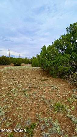 0.25 Acres of Residential Land for Sale in Show Low, Arizona