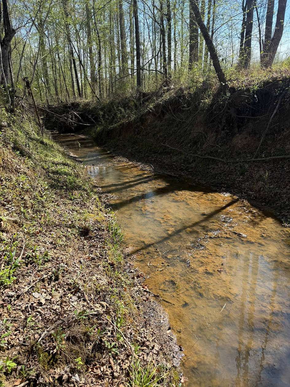 160 Acres of Recreational Land for Sale in Louisville, Mississippi