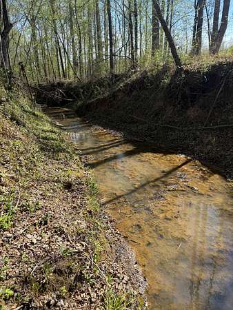 160 Acres of Recreational Land for Sale in Louisville, Mississippi