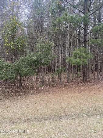 1.58 Acres of Residential Land for Sale in Hertford, North Carolina