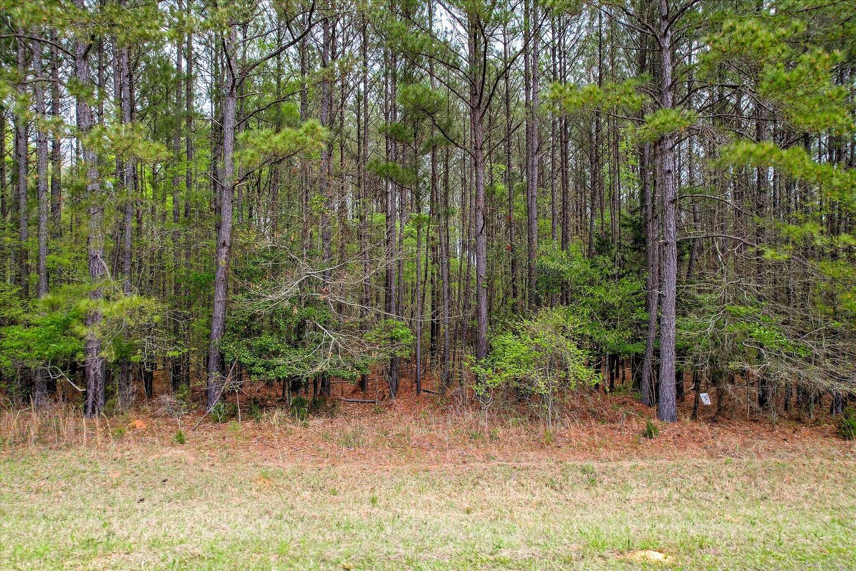 2.17 Acres of Residential Land for Sale in Lincolnton, Georgia