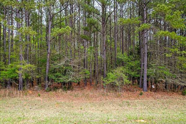 2.17 Acres of Residential Land for Sale in Lincolnton, Georgia