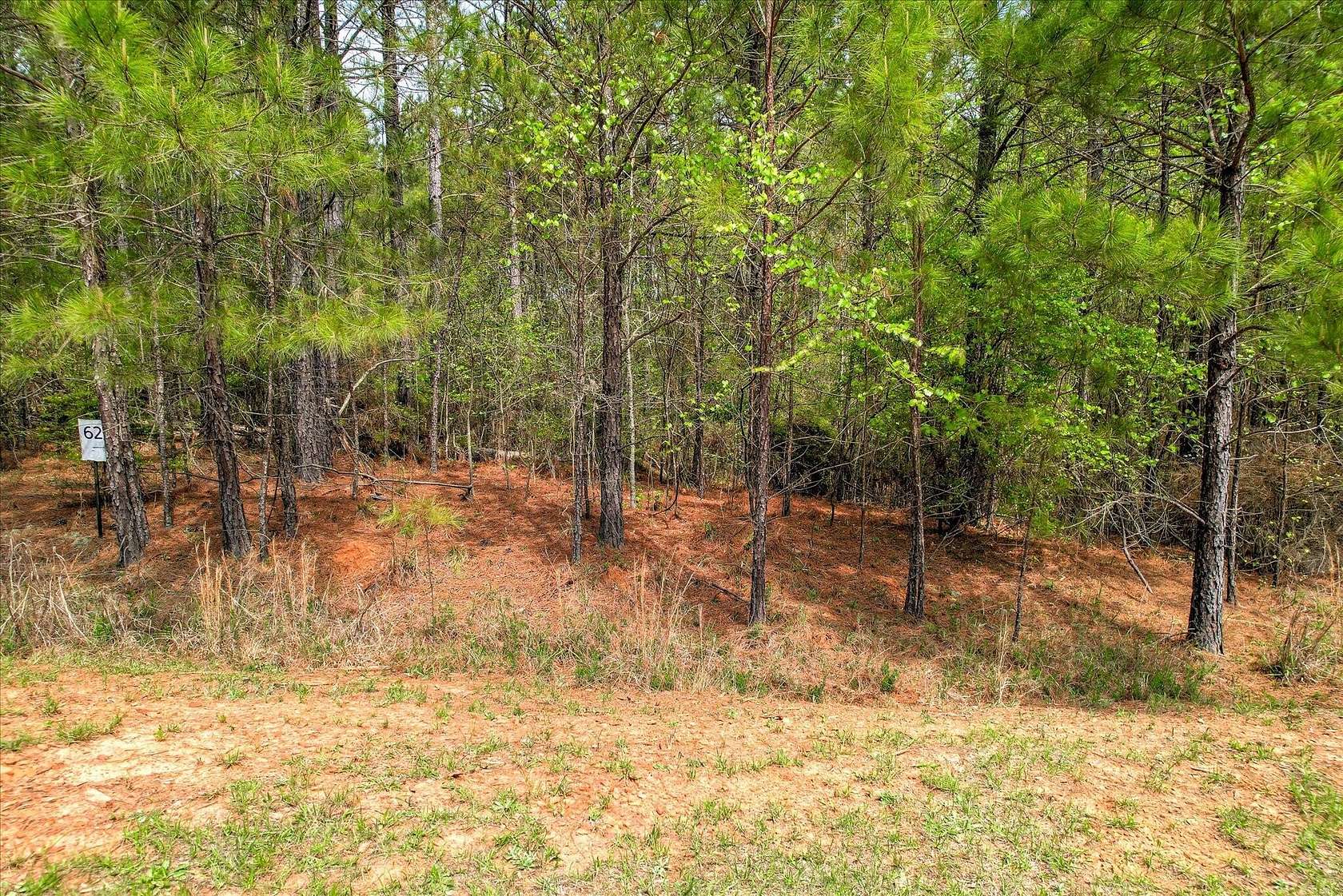 1.5 Acres of Residential Land for Sale in Lincolnton, Georgia
