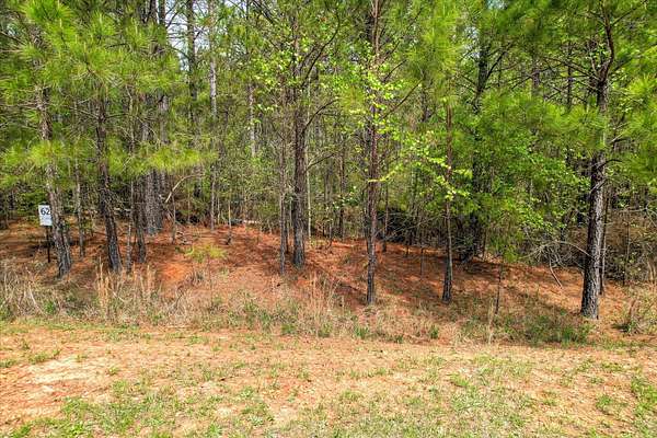 1.5 Acres of Residential Land for Sale in Lincolnton, Georgia