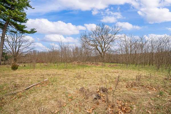 75 Acres of Recreational Land for Sale in Decatur, Michigan