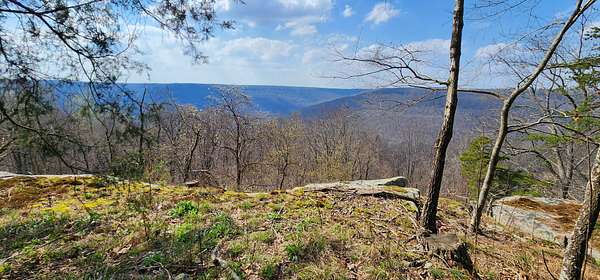 2 Acres of Residential Land for Sale in Altamont, Tennessee
