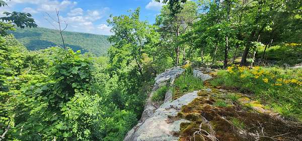2 Acres of Residential Land for Sale in Altamont, Tennessee