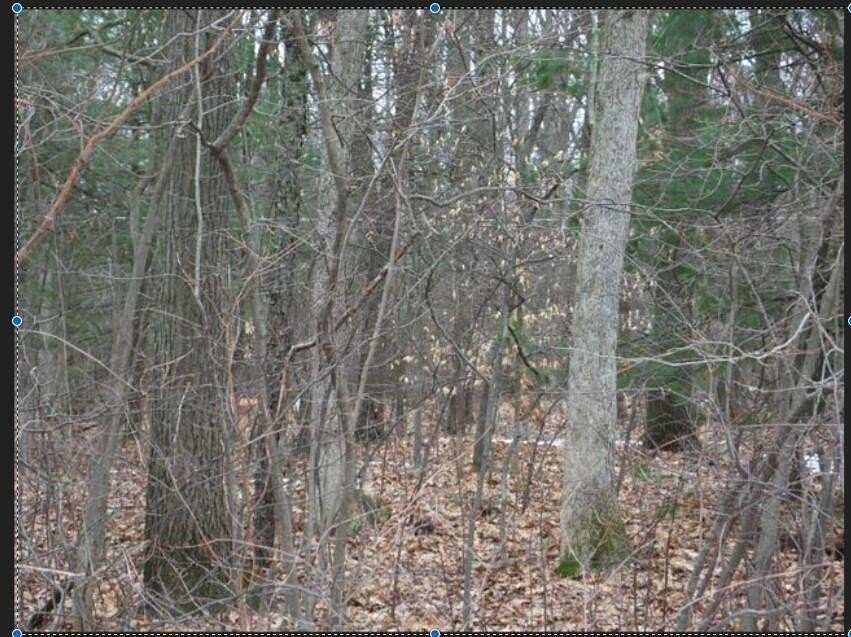 16.5 Acres of Land for Sale in Muskegon, Michigan